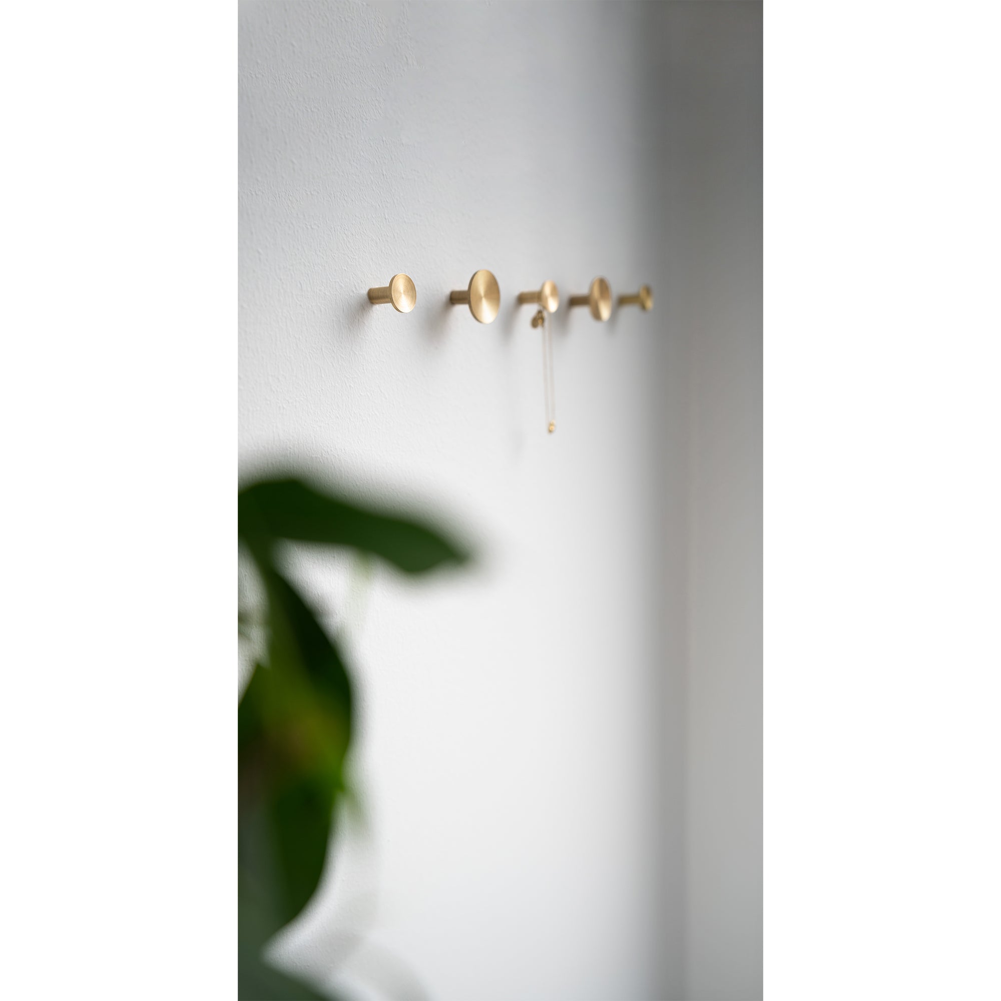 Hook Sture | Ø2.8cm